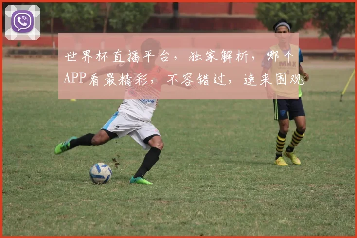 世界杯直播平台，独家解析，哪个APP看最精彩，不容错过，速来围观