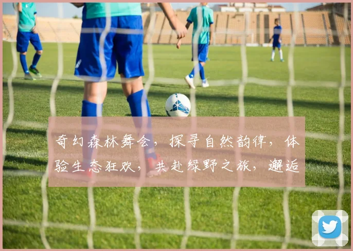 奇幻森林舞会，探寻自然韵律，体验生态狂欢，共赴绿野之旅，邂逅多彩人生，
